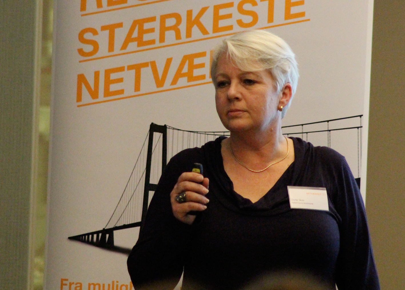 Enhedschef Dorte Skov oplyste at der var budgetteret med flere milliarder til klimatilpasning over de næste 20 år for at undgå skader ved skybrudshændelser